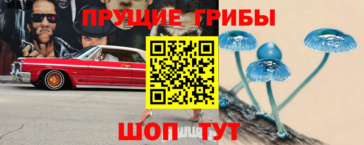 Псилоцибиновые грибы GOLDEN TEACHER Будённовск
