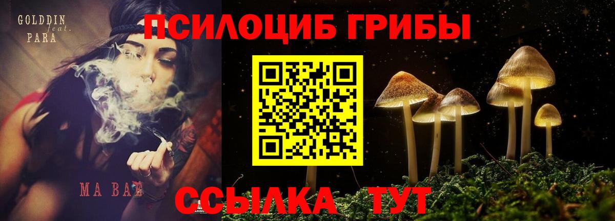 Псилоцибиновые грибы Magic Shrooms  Вход с VPN  Будённовск 